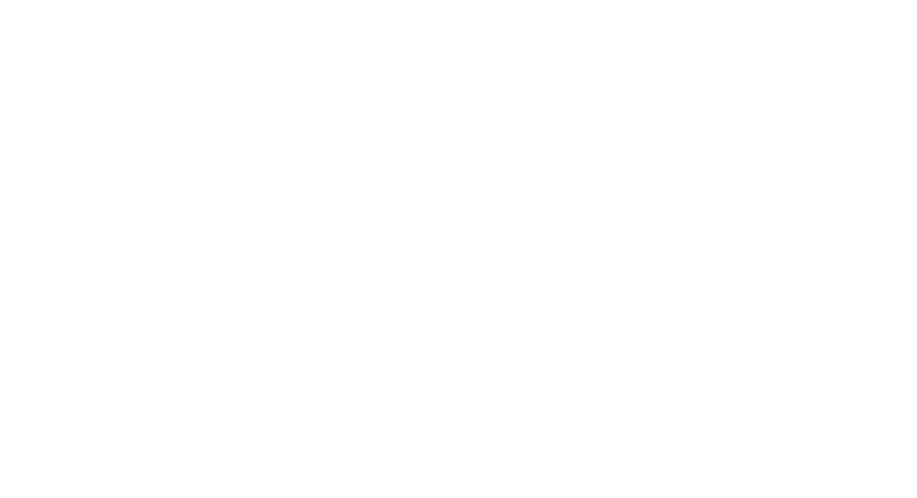 Logo PTV